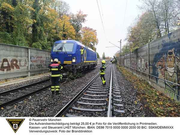 FW-M: Regionalzug kollidiert mit Baum (Giesing)
