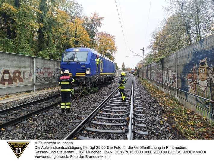 FW-M: Regionalzug kollidiert mit Baum (Giesing)