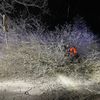 FW-EN: Baum blockiert Fahrbahn