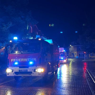 FW-AUR: Diverse Bäume durch Unwetterereignis umgeweht