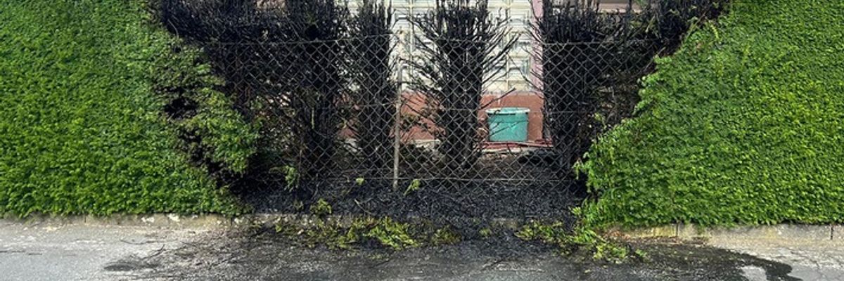 FW Hagen: Brandeinsatz - Heckenbrand im Ortsteil Boele