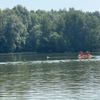 FW-DT: Die Feuerwehr Detmold befreit Schwan von einer Angelschnur auf dem Meschesee
