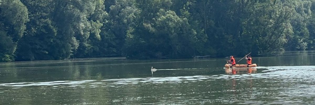 FW-DT: Die Feuerwehr Detmold befreit Schwan von einer Angelschnur auf dem Meschesee
