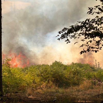 FW LK Neunkirchen: Waldbrand im Hosterwald: Einsatz nach 78 Stunden beendet