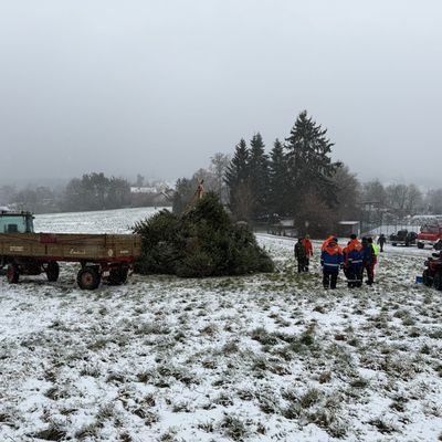 FW Weinheim: Hand in Hand durch Regen und Schnee. Jugendfeuerwehr sammelt Christbäume in den Weinheimer Ortsteilen