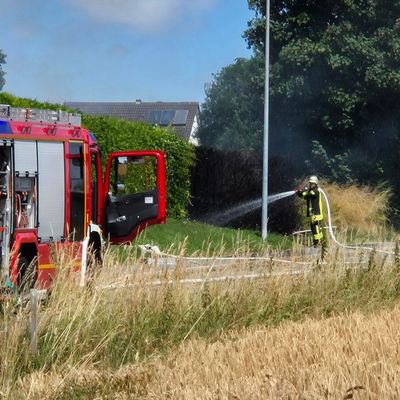 FW Ense: Heckenbrand (Ursache unklar)