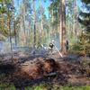 FW Südheide: 3500m² Waldboden brennen in Unterlüß