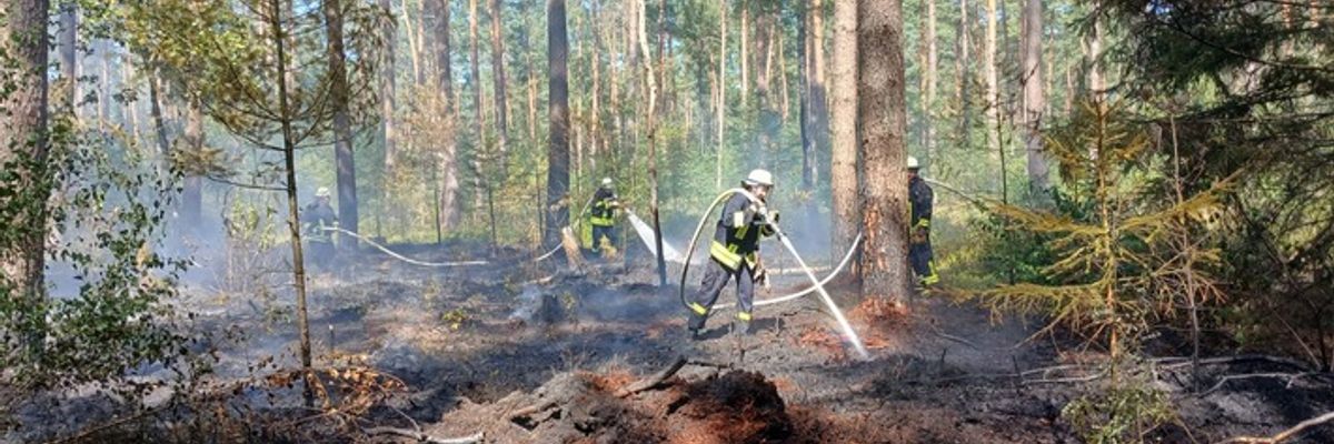 FW Südheide: 3500m² Waldboden brennen in Unterlüß