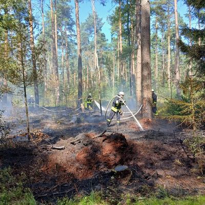 FW Südheide: 3500m² Waldboden brennen in Unterlüß
