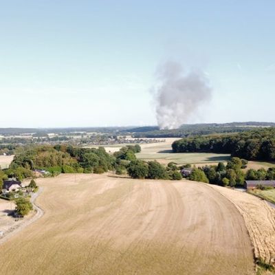 FW Sonsbeck: Aufräumarbeiten Waldbrand Labbeck
