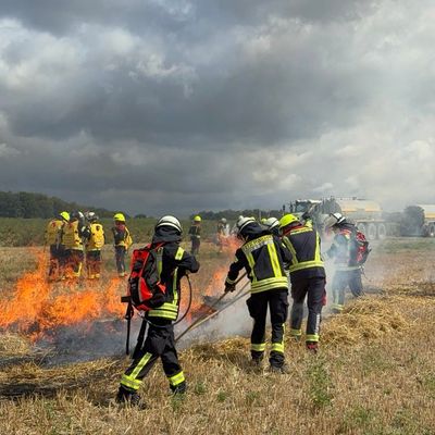FW-MG: Übungsdienst zur Vegetationsbrandbekämpfung in Hardt und Rasseln