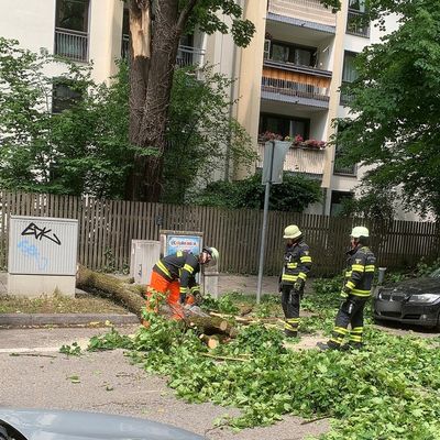 FW-M: Herabfallender Ast beschädigt mehrere Fahrzeuge (Neuhausen)