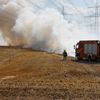 FW Pulheim: Feldbrand bedrohte Gehölzflächen