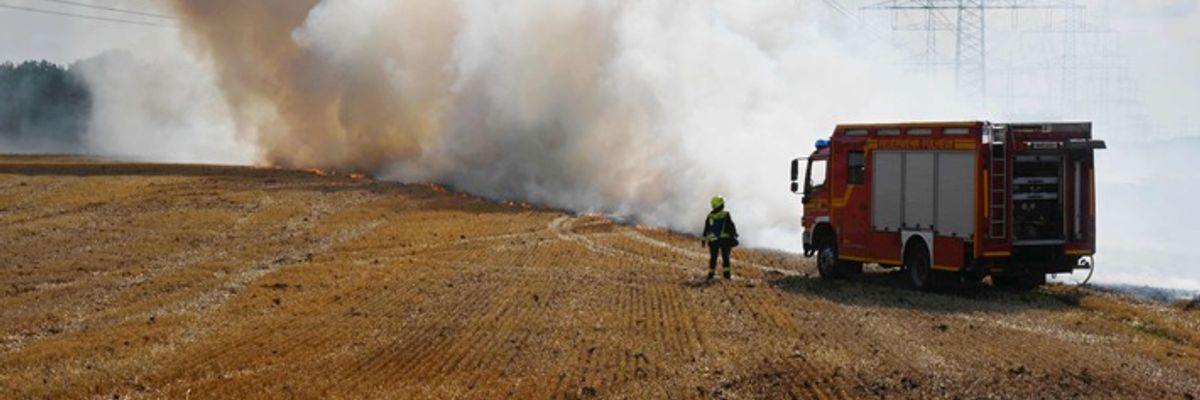 FW Pulheim: Feldbrand bedrohte Gehölzflächen
