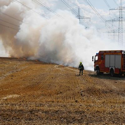 FW Pulheim: Feldbrand bedrohte Gehölzflächen