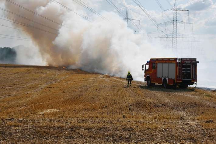 FW Pulheim: Feldbrand bedrohte Gehölzflächen