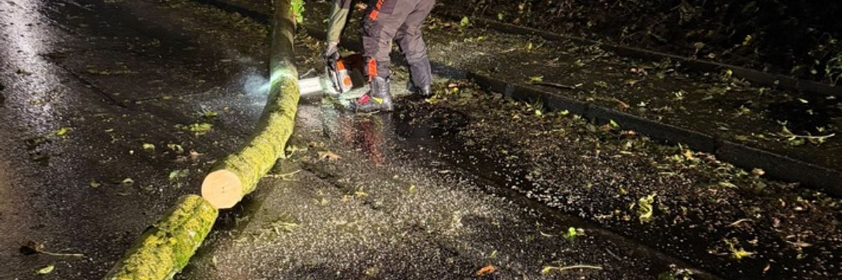 FW Weinheim: Umgestürzter Baum blockiert Straße in Nächstenbach. Feuerwehr Weinheim beseitigt Sturmschaden in den frühen Morgenstunden.