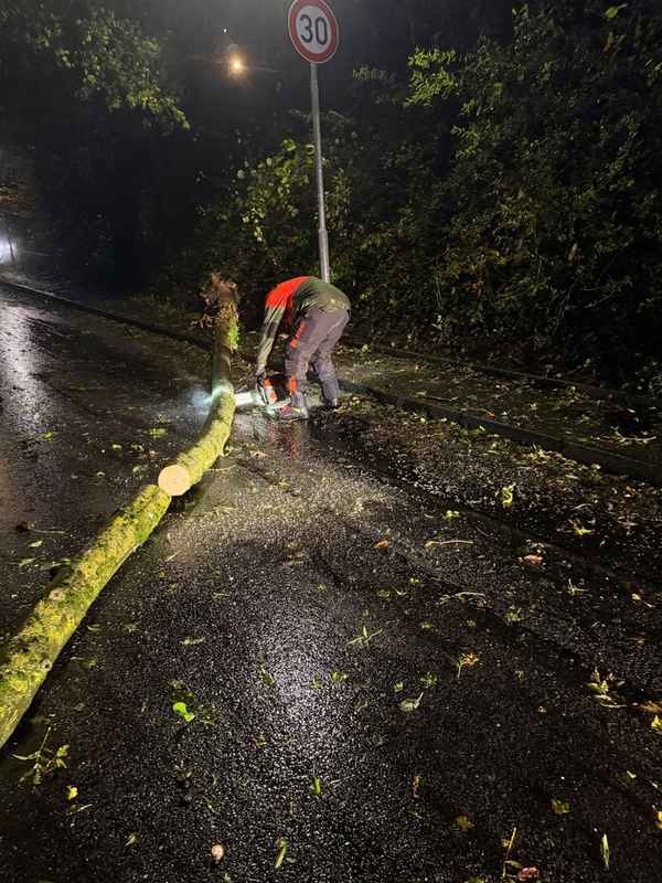 FW Weinheim: Umgestürzter Baum blockiert Straße in Nächstenbach. Feuerwehr Weinheim beseitigt Sturmschaden in den frühen Morgenstunden.