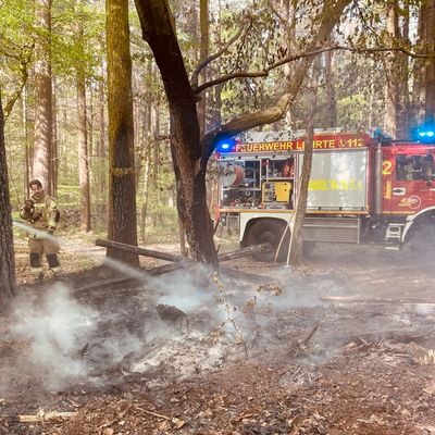 FW Lehrte: Feuer im Wald bei Ahlten