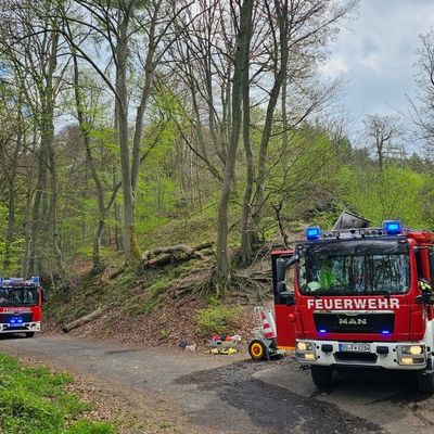 FW Königswinter: Feuer im Wald rechtzeitig entdeckt - Waldbrandgefahr aktuell noch hoch