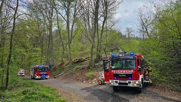 FW Königswinter: Feuer im Wald rechtzeitig entdeckt - Waldbrandgefahr aktuell noch hoch