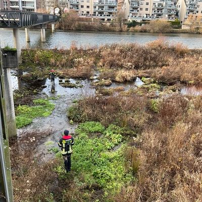 FW-MH: Vermutete Gewässerverunreinigung an der Kassenbergbrücke - Natürliches Phänomen löst Feuerwehreinsatz aus