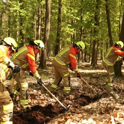 FW Celle: Gemeinsamer Zugdienst der GFFF-V Niedersachsen in Hustedt