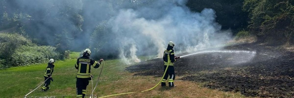 FW-EN: Wiese brennt am Wiggers - Feuer droht auf Wald überzugreifen