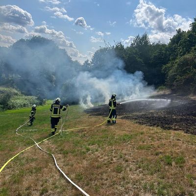 FW-EN: Wiese brennt am Wiggers - Feuer droht auf Wald überzugreifen