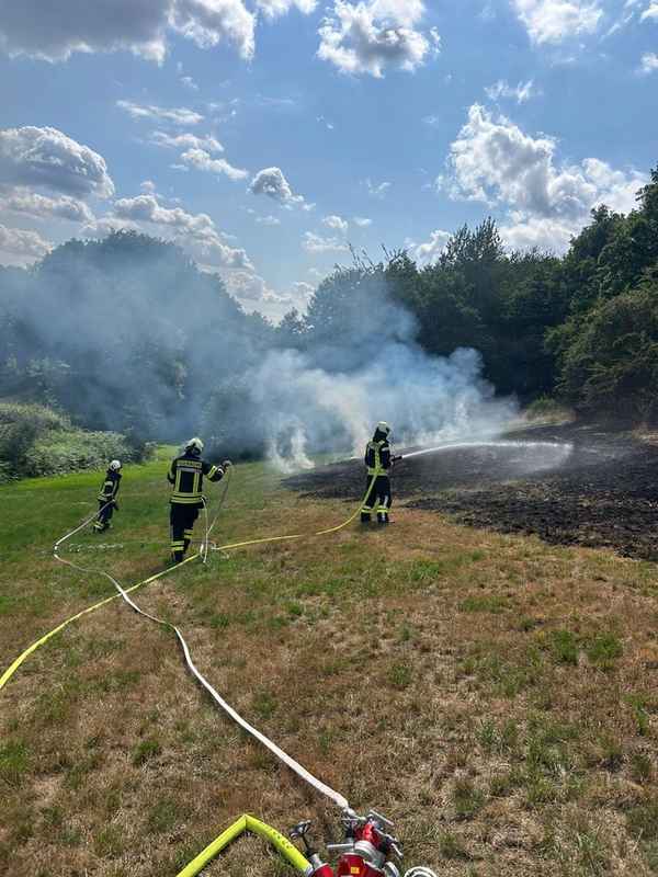 FW-EN: Wiese brennt am Wiggers - Feuer droht auf Wald überzugreifen