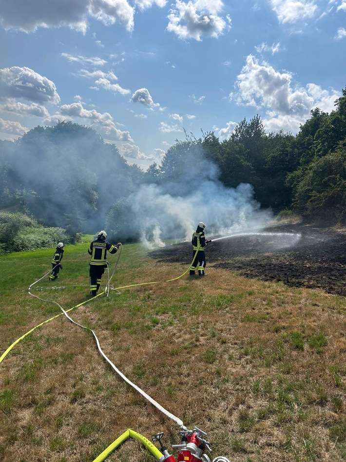 FW-EN: Wiese brennt am Wiggers - Feuer droht auf Wald überzugreifen
