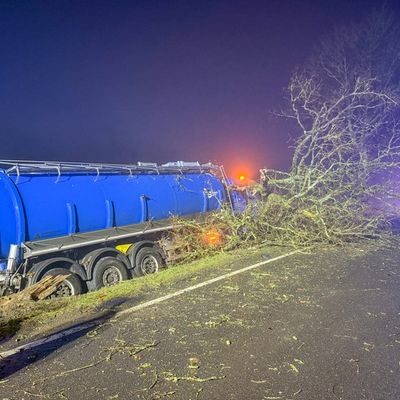 FW Flotwedel: LKW kommt von Fahrbahn ab - Baum blockiert B214