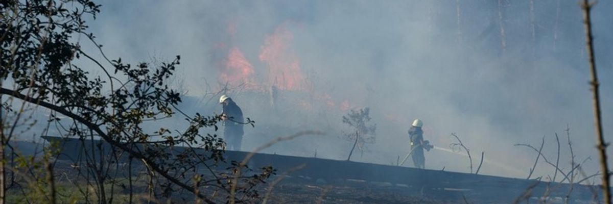 FW-EN: Waldbrand