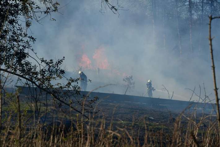 FW-EN: Waldbrand
