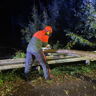 FW Weinheim: Umgestürzter Baum blockiert Straße in Nächstenbach. Feuerwehr Weinheim beseitigt Sturmschaden in den frühen Morgenstunden.