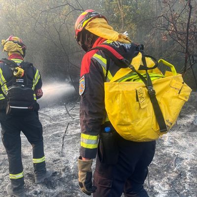 FW-BN: 2. Folgemeldung: Waldbrandeinheit im Tag- und Nachteinsatz im Naturschutzgebiet Deliblatska Pescara
