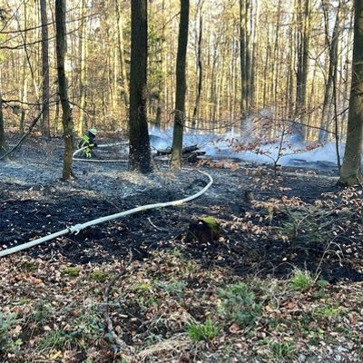 FW Pforzheim: Waldbrand im Bereich Hagenschieß - Eichwald