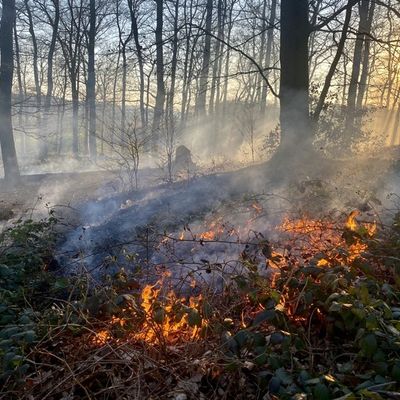 FW-MK: Waldbrand in Letmathe