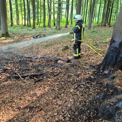 FW VG Westerburg: Aufmerksame Spaziergängerin meldet Rauchentwicklung im Wald - Feuerwehr verhindert großen Waldbrand