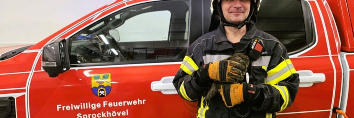 FW-EN: Waldkauz befreit