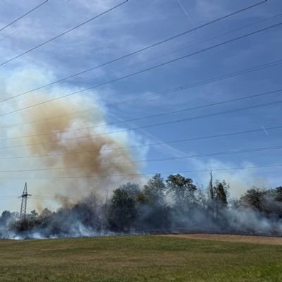Feuerwehr MTK: Großeinsatz bei Vegetationsbrand in Hattersheim: Mehr als 200 Einsatzkräfte bekämpfen ausgedehnten Wiesen- und Waldbrand - umfangreiche Nachlöscharbeiten dauern an