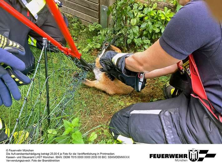 FW-M: Tierrettung aus größter Not (Michaeliburg)