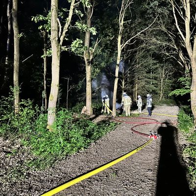 FW Lage: Feuer Fläche/Wald - 10.05.25 - 22:12 Uhr