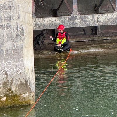 FW-M: Vier Pfoten auf Abwegen - Feuerwehr rettet Hund aus Isar (Oberföhring)