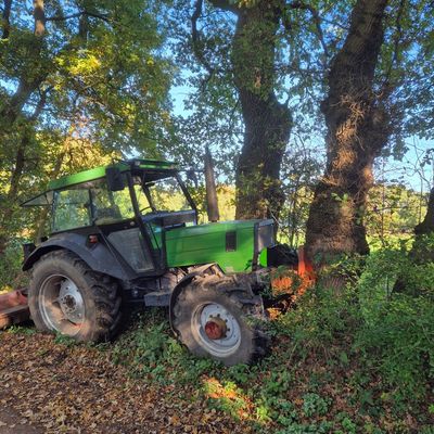 FFW Schiffdorf: Trecker fährt gegen Baum - Fahrer bleibt unverletzt