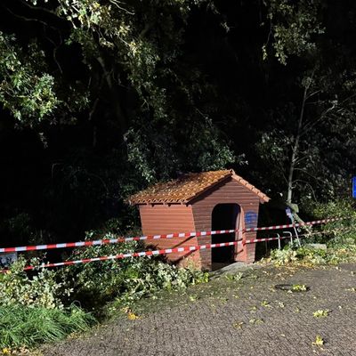 FW-AUR: Weitere Sturmfolgen entfernt