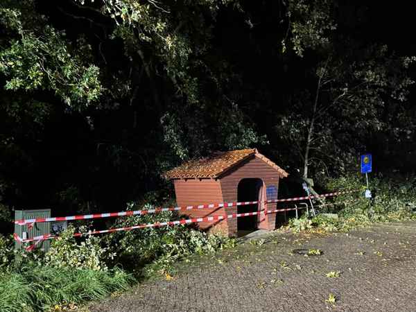 FW-AUR: Weitere Sturmfolgen entfernt