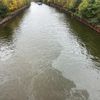 FW-E: Ölverschmutzung auf dem Rhein-Herne-Kanal - Schifffahrt vorübergehend eingestellt