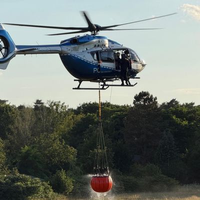 FW Rösrath: Waldbrand in der Wahner Heide - rund 200 Einsatzkräfte vor Ort