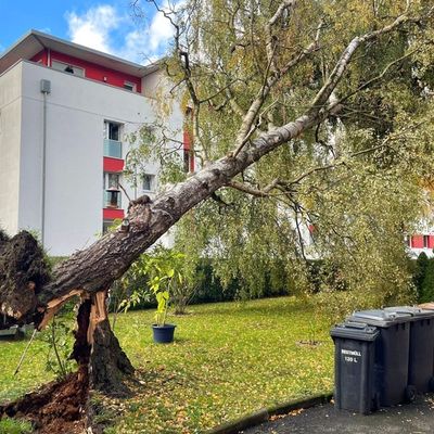 FW Konstanz: Unwetterlage fordert die Feuerwehr